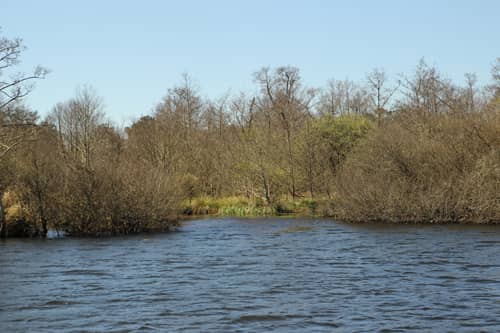lac de parentis biscarosse
