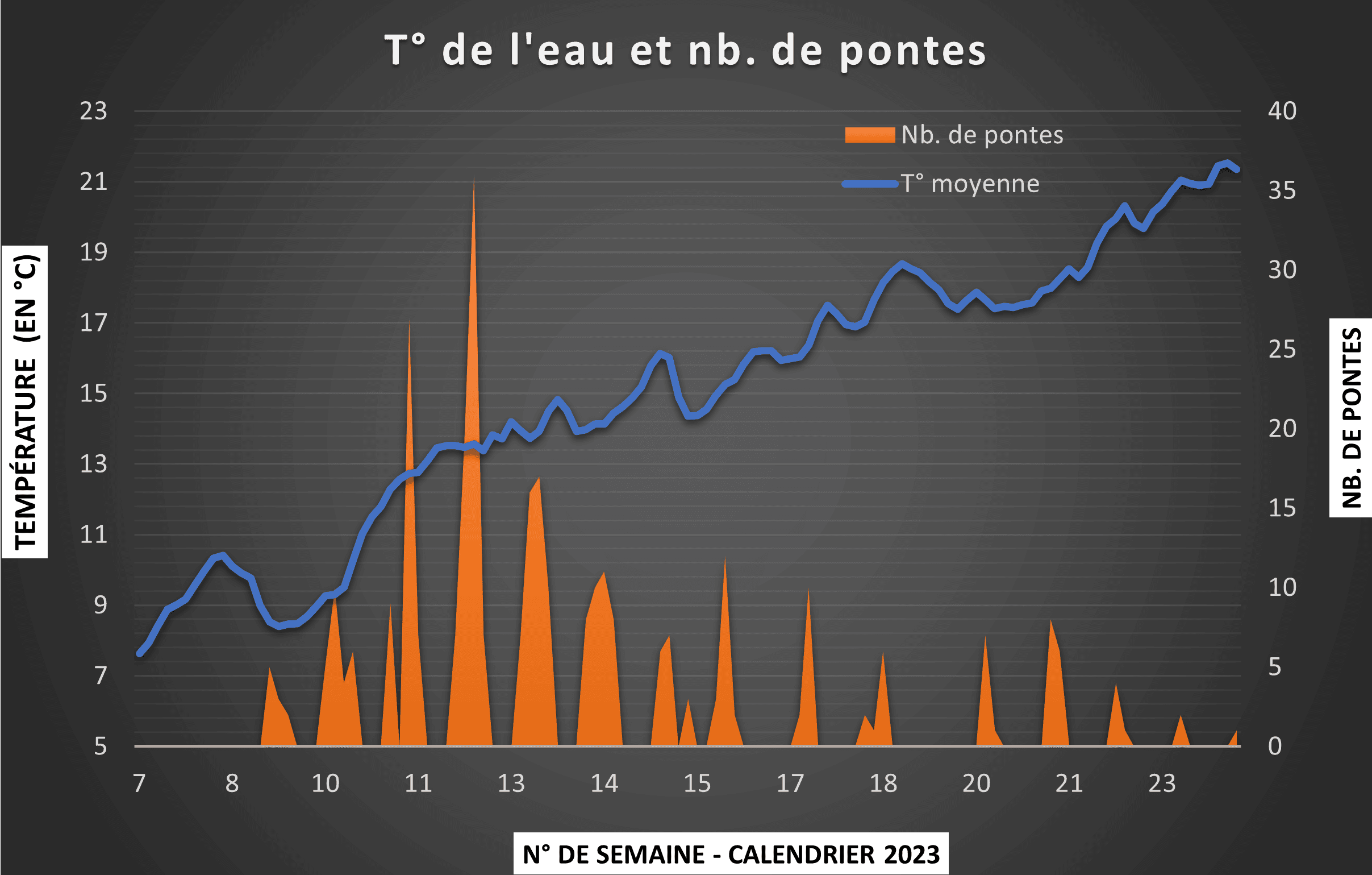Panneau de brande pour favoriser la reproduction naturelle du sandre