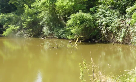 étang de Darrimajou