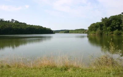 Fermeture temporaire ou exceptionnelle de plans d’eau