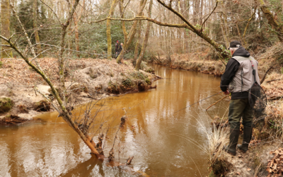 Saison truite 2026 info 3/3 – cours d’eau 1re catégorie piscicole