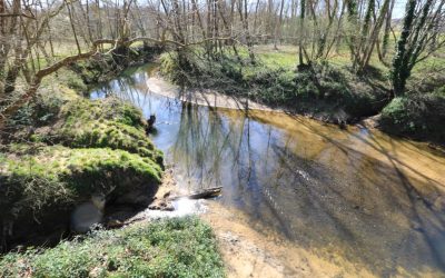 Saison truite 2026 info 2/3 – cours d’eau 2e catégorie piscicole
