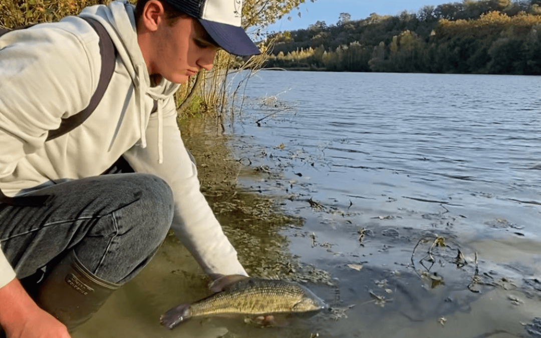 Gravière de Cazenave : un parcours BLACK-BASS