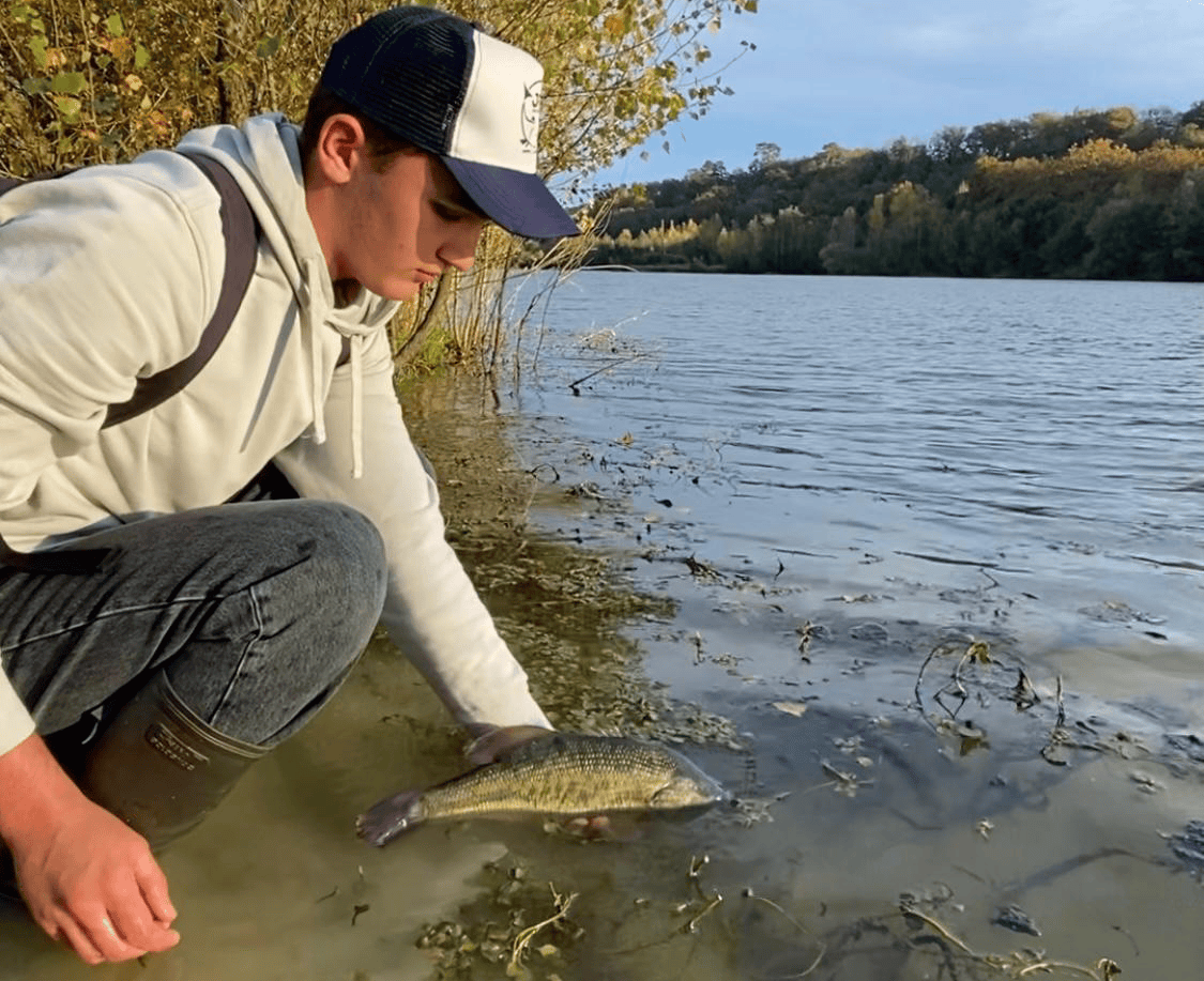 black-bass de cazenave